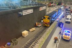 IMG_8556